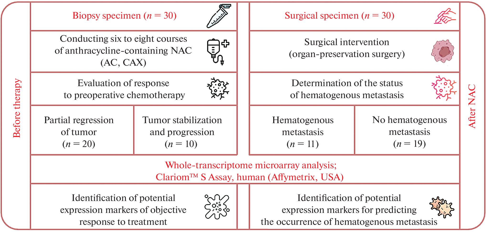 Changes in the Expression Landscape of HER2-Negative Breast Cancer under the Influence of Anthracycline-Containing Neoadjuvant Chemotherapy Regimens