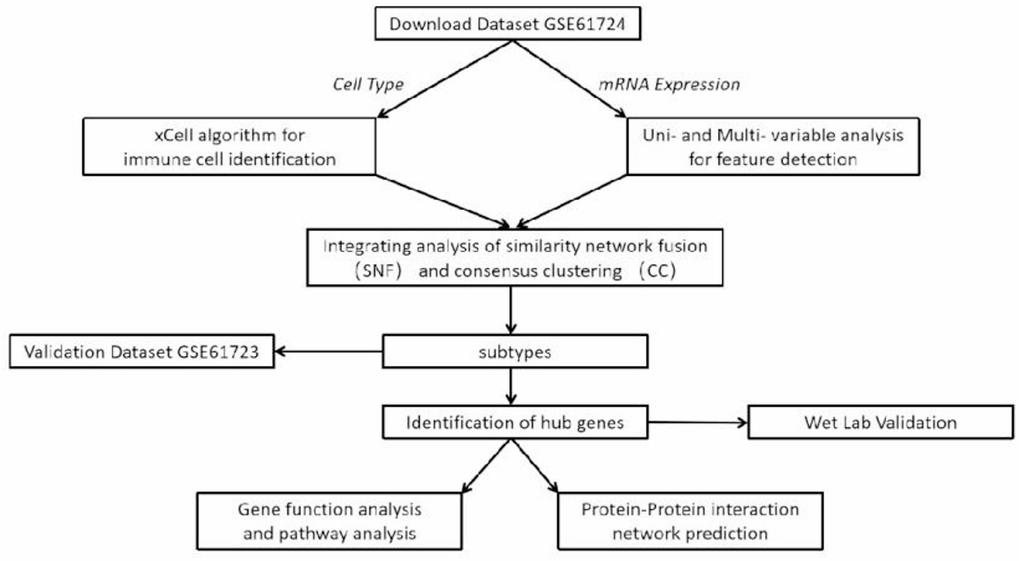 Immune-based molecular subtyping of triple-negative breast cancer via SNF-CC and functional validation of key immune-associated genes