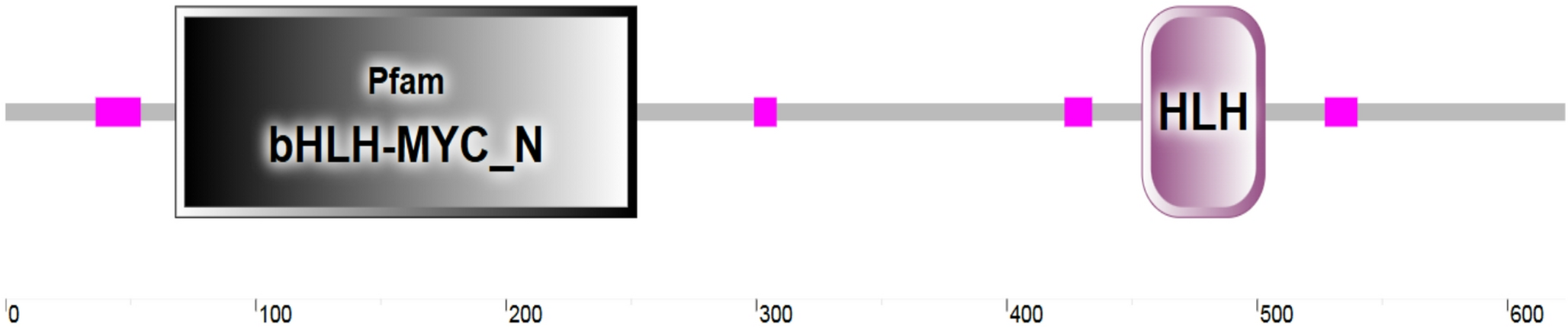 Bioinformatics analysis and expression of the transcription factor  in  in response to salt stress
