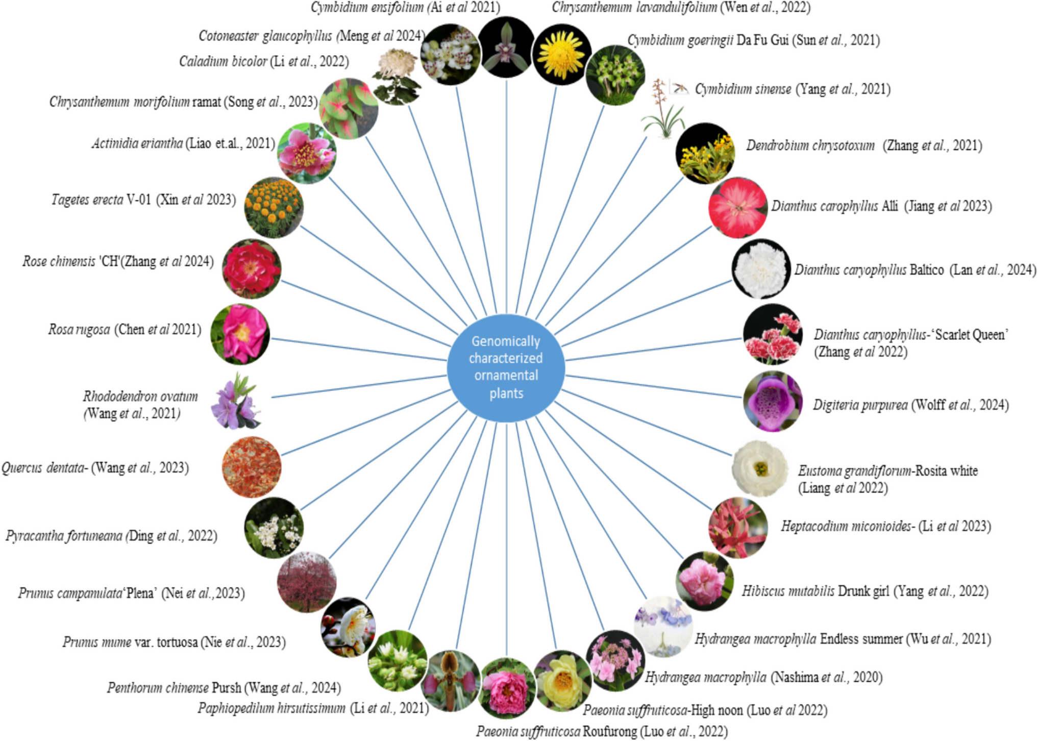 Advancing ornamental plant breeding through genomic technologies: opportunities, challenges, and future directions