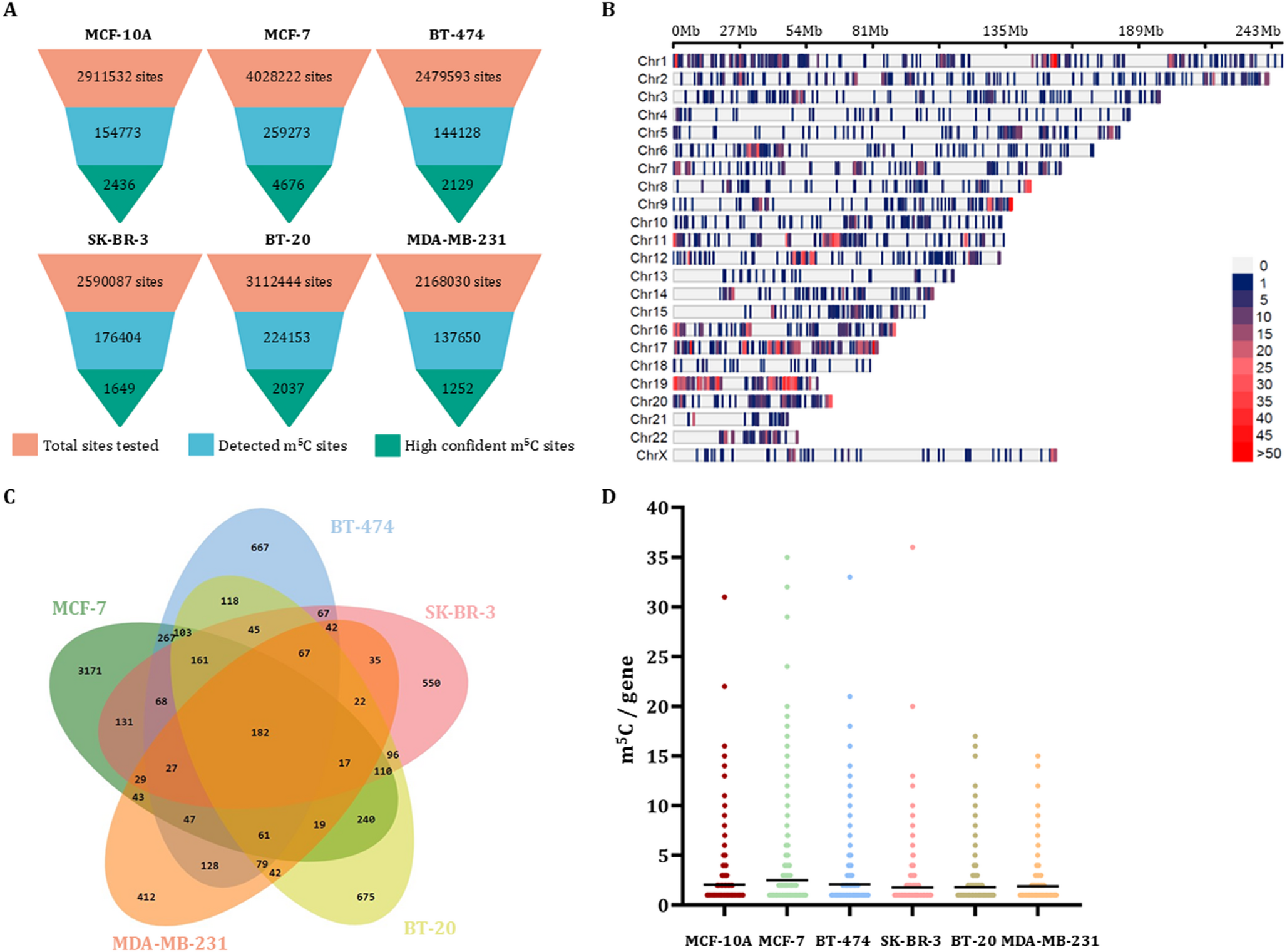 Exploring the mC epitranscriptome of mRNAs in breast cancer cells through genome engineering and long-read sequencing approaches
