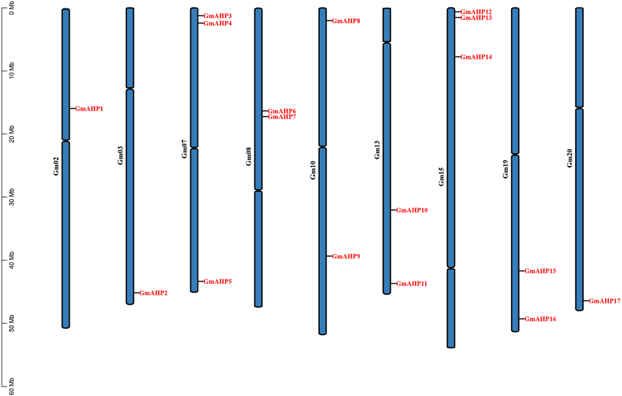 Genome-wide analysis of  genes in soybean and the role of  in improving salt stress tolerance