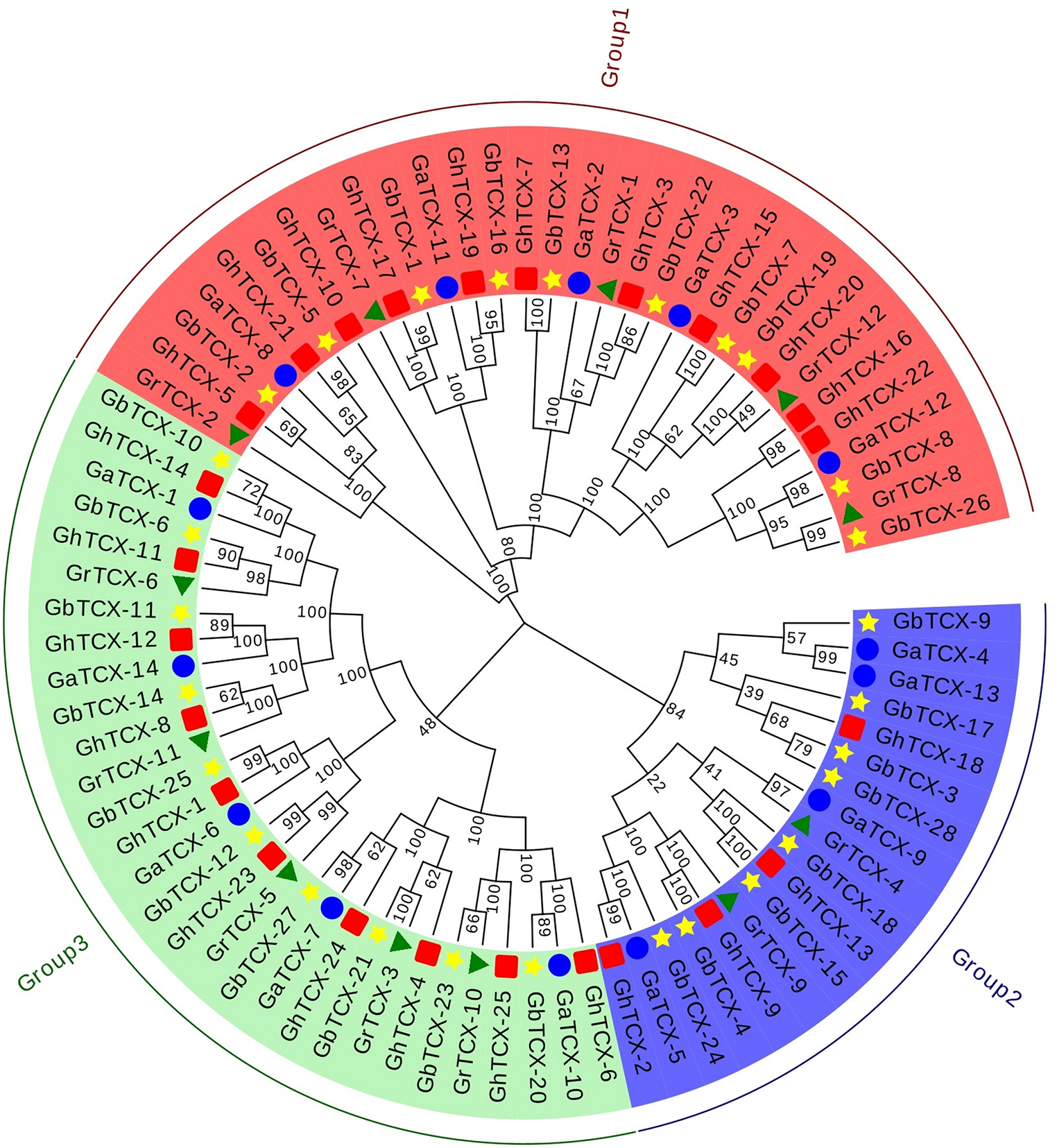 Genome-wide identification and functional analysis of  gene family and the critical role of  in response to drought and salt stress in cotton