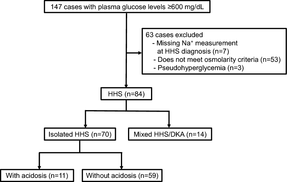 Clinical features and outcomes of hyperglycemic hyperosmolar syndrome: a retrospective study at a Japanese university hospital