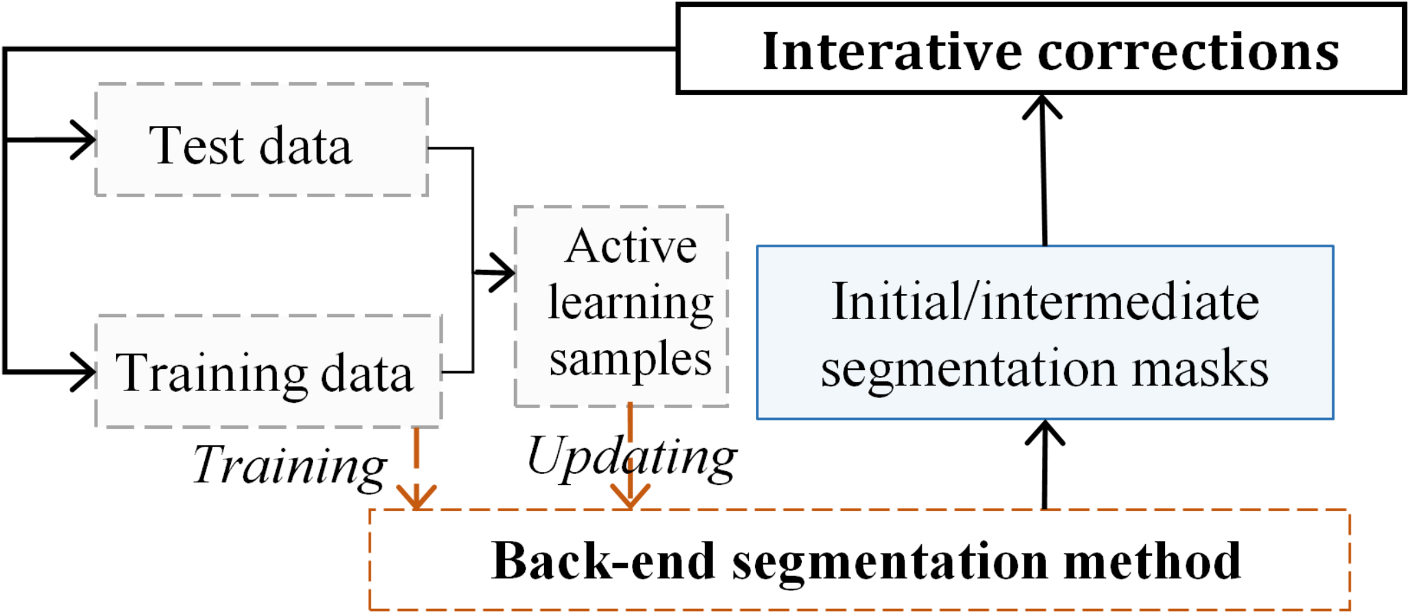 A study for expert-informed active pulmonary nodule segmentation