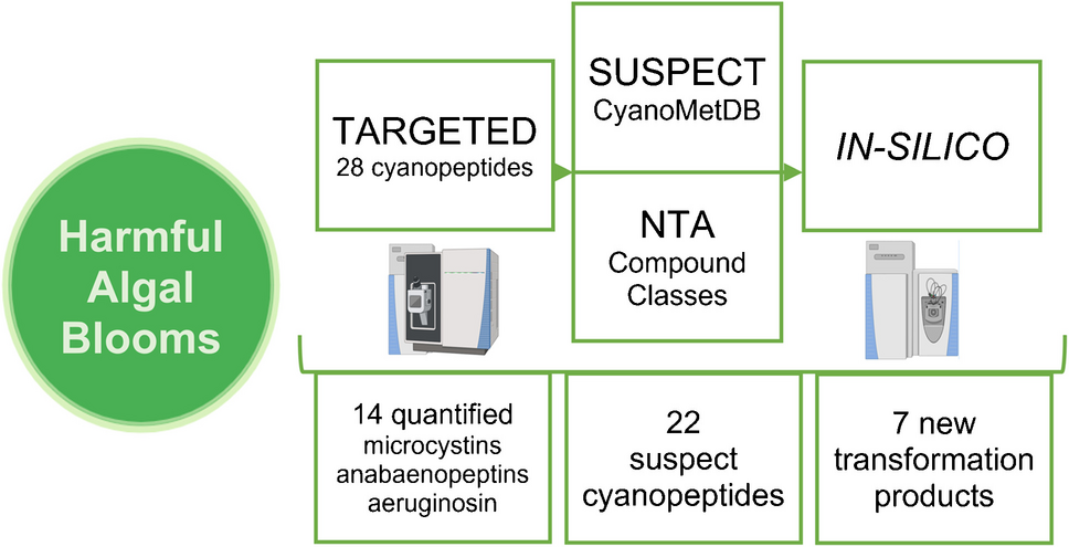 Characterizing cyanopeptides and transformation products in freshwater: integrating targeted, suspect, and non-targeted analysis with in silico modeling