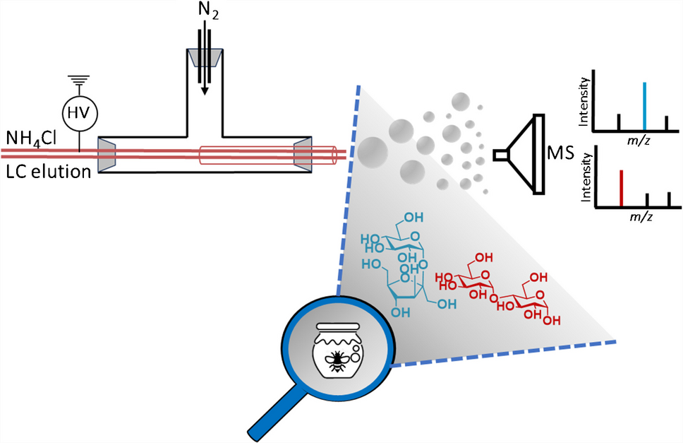 Liquid chromatography-mass spectrometry approach for characterizing sucrose isomers in complex mono-floral honey
