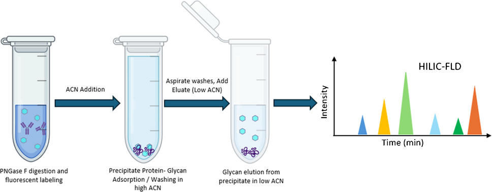 Protein pellet sample preparation for the analysis of N-glycans of therapeutic proteins