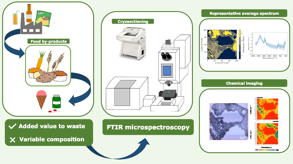 Assessing food by-products macrocomposition by FTIR microspectroscopy