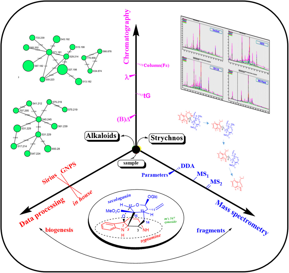 B.L. Rob.: secondary metabolite annotation by liquid chromatography tandem high-resolution mass spectrometry with insights from biogenesis