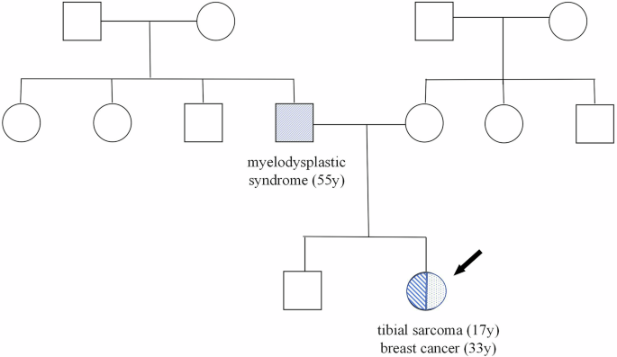 Clinical TP53 genetic testing is recommended for HER2-positive breast cancer patients aged 35 or younger