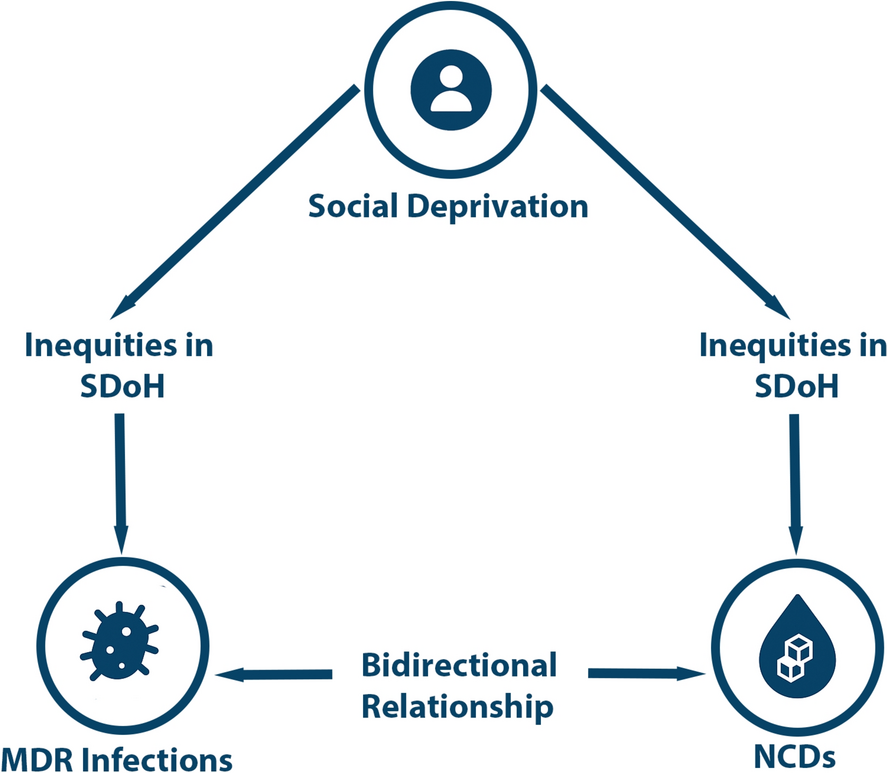 Syndemics of Antimicrobial Resistance: Non-communicable Diseases, Social Deprivation, and the Rise of Multidrug-Resistant Infections