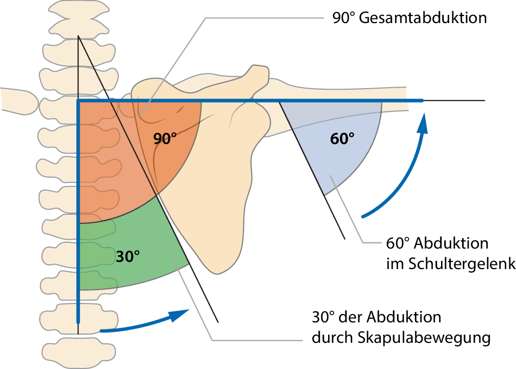 Skapuladyskinesie nach Schulterverletzungen