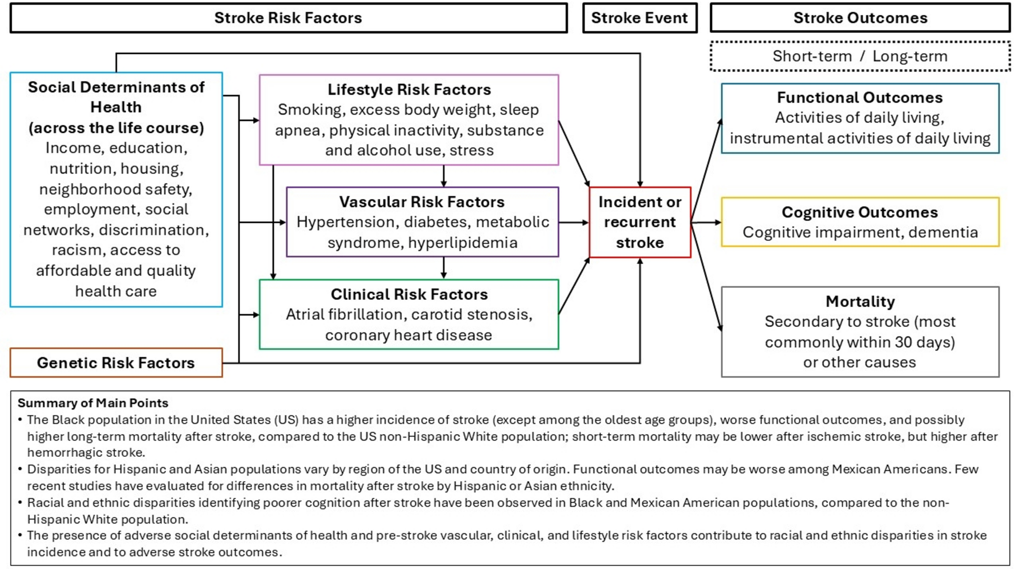 Racial and Ethnic Disparities in Stroke Incidence and Outcomes
