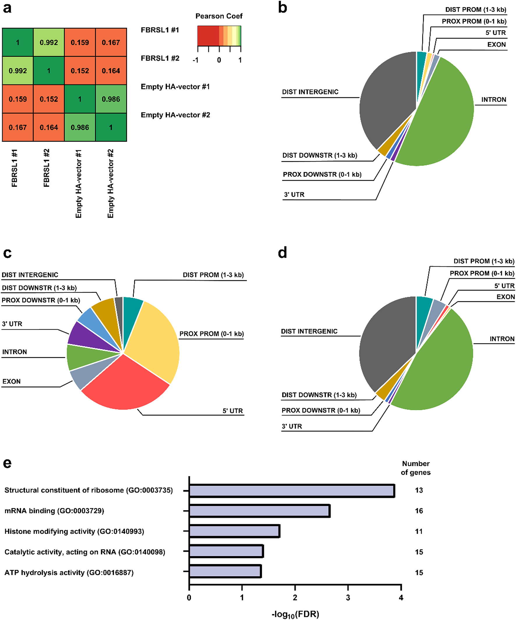 FBRSL1 regulates the expression of chromatin regulators  and
