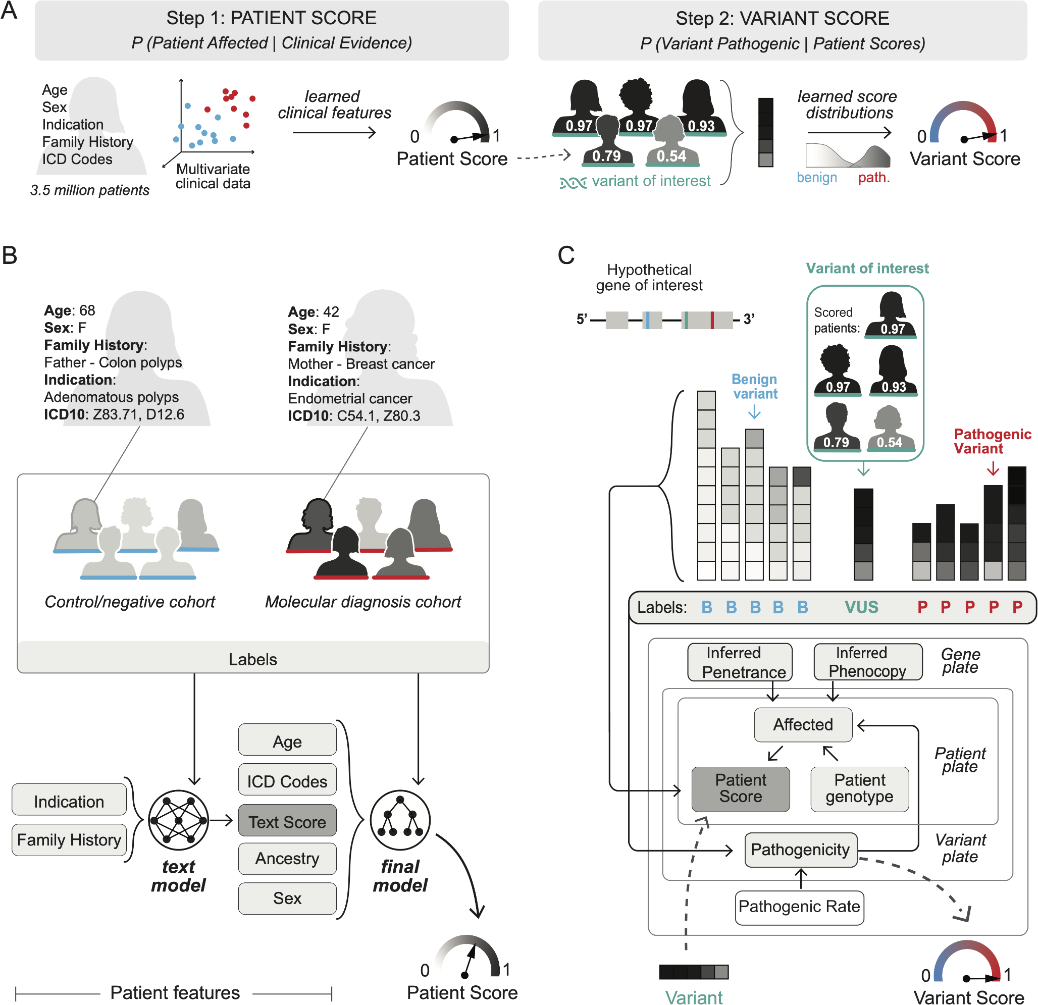 Harnessing genotype and phenotype data for population-scale variant classification using large language models and bayesian inference