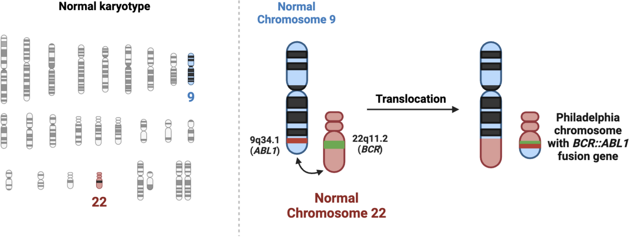 Advancing chronic myeloid leukemia research with next-generation sequencing: potential benefits, limitations, and future clinical integration