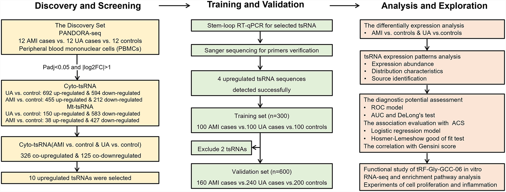Comprehensive profiling of tsRNAs in acute coronary syndrome: expression patterns, clinical correlations, and functional insights