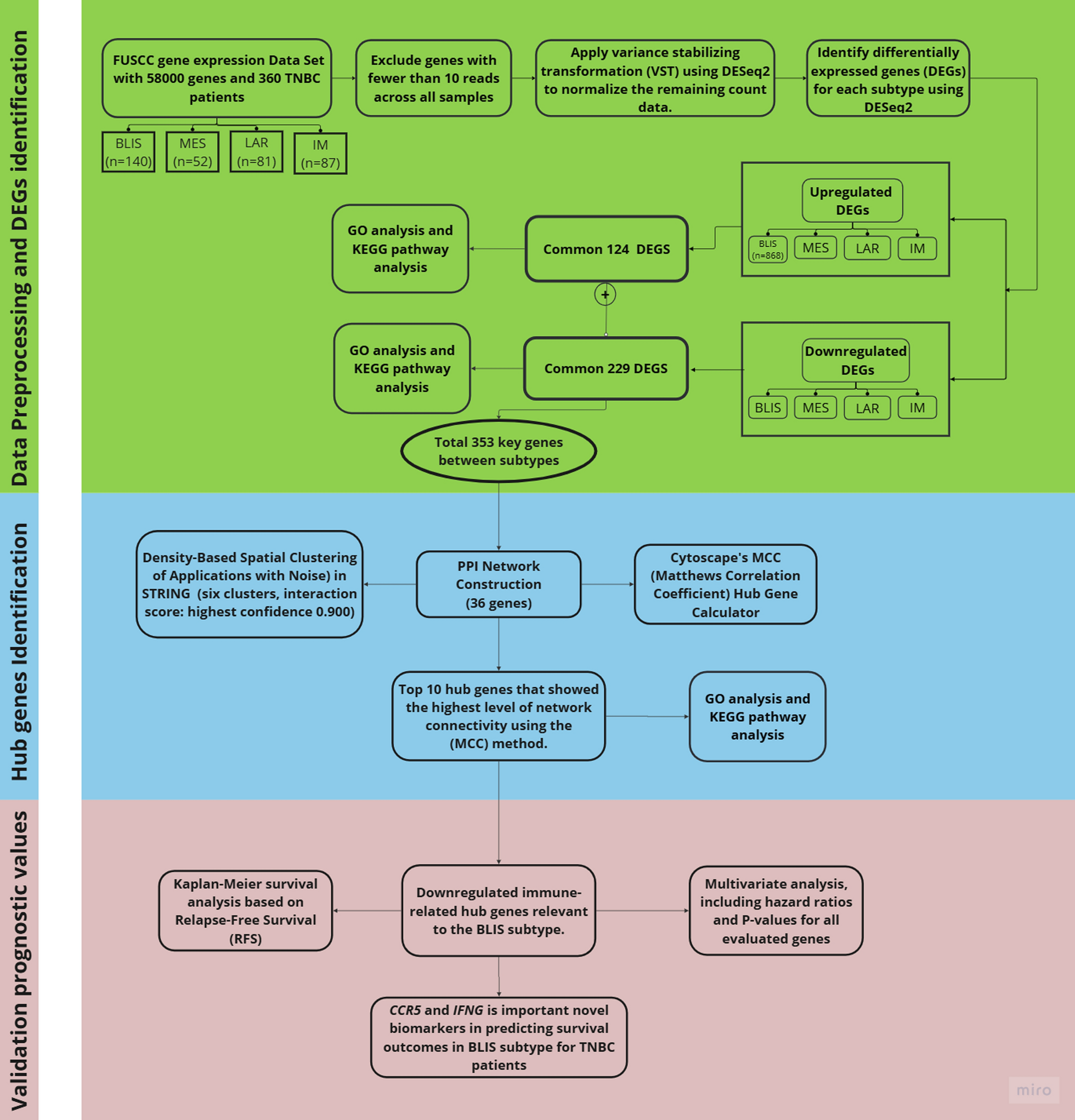 Bioinformatics analysis for immune hub genes in BLIS subtype of triple-negative breast cancer