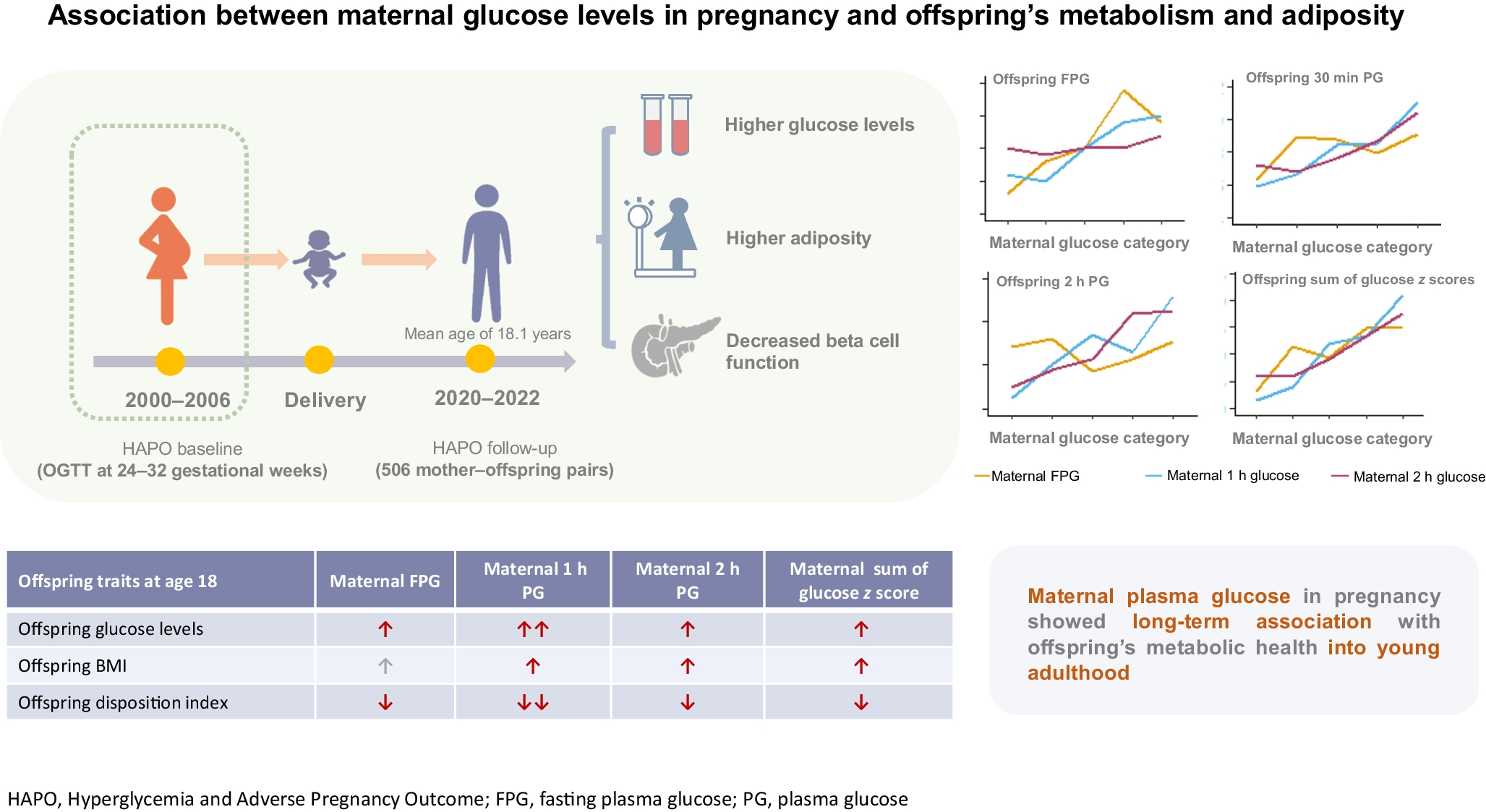 Association between maternal glucose levels in pregnancy and offspring’s metabolism and adiposity: an 18-year birth cohort study