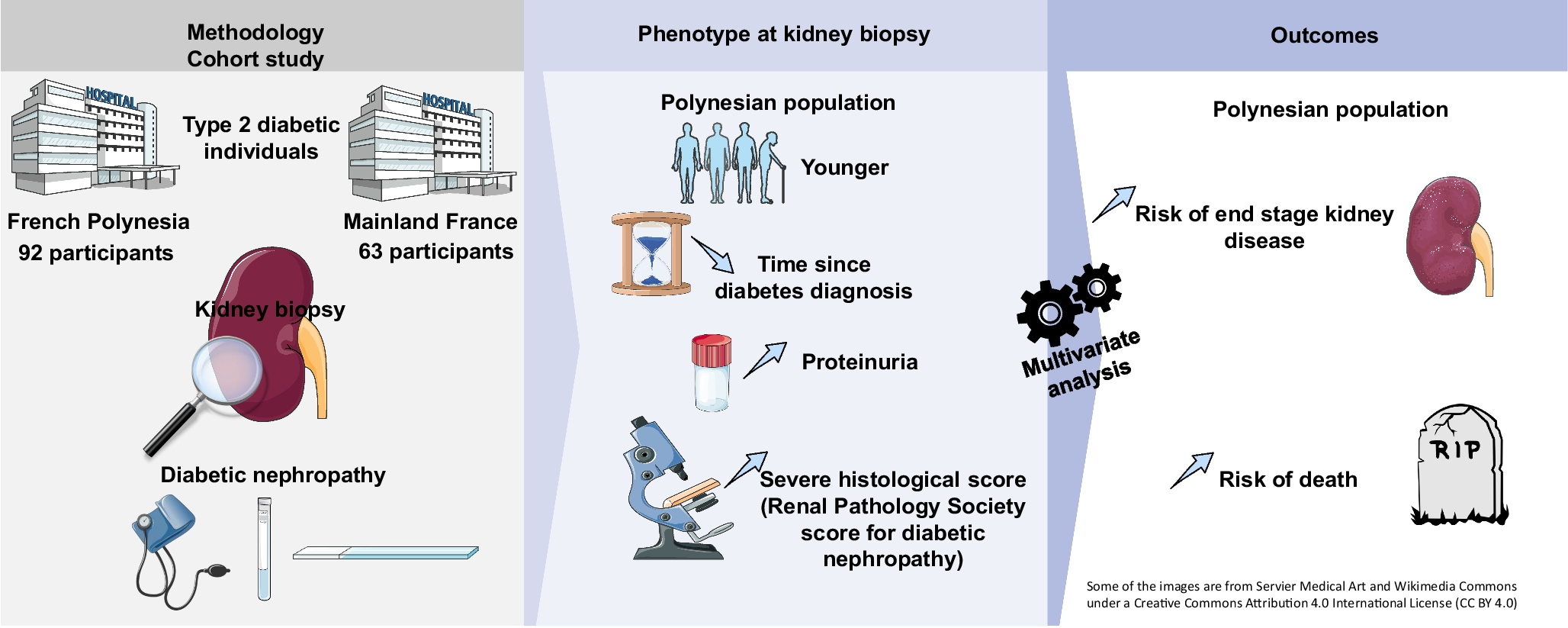 Differences in biopsy-proven diabetic kidney disease in individuals from Polynesia vs mainland France: a retrospective cohort study