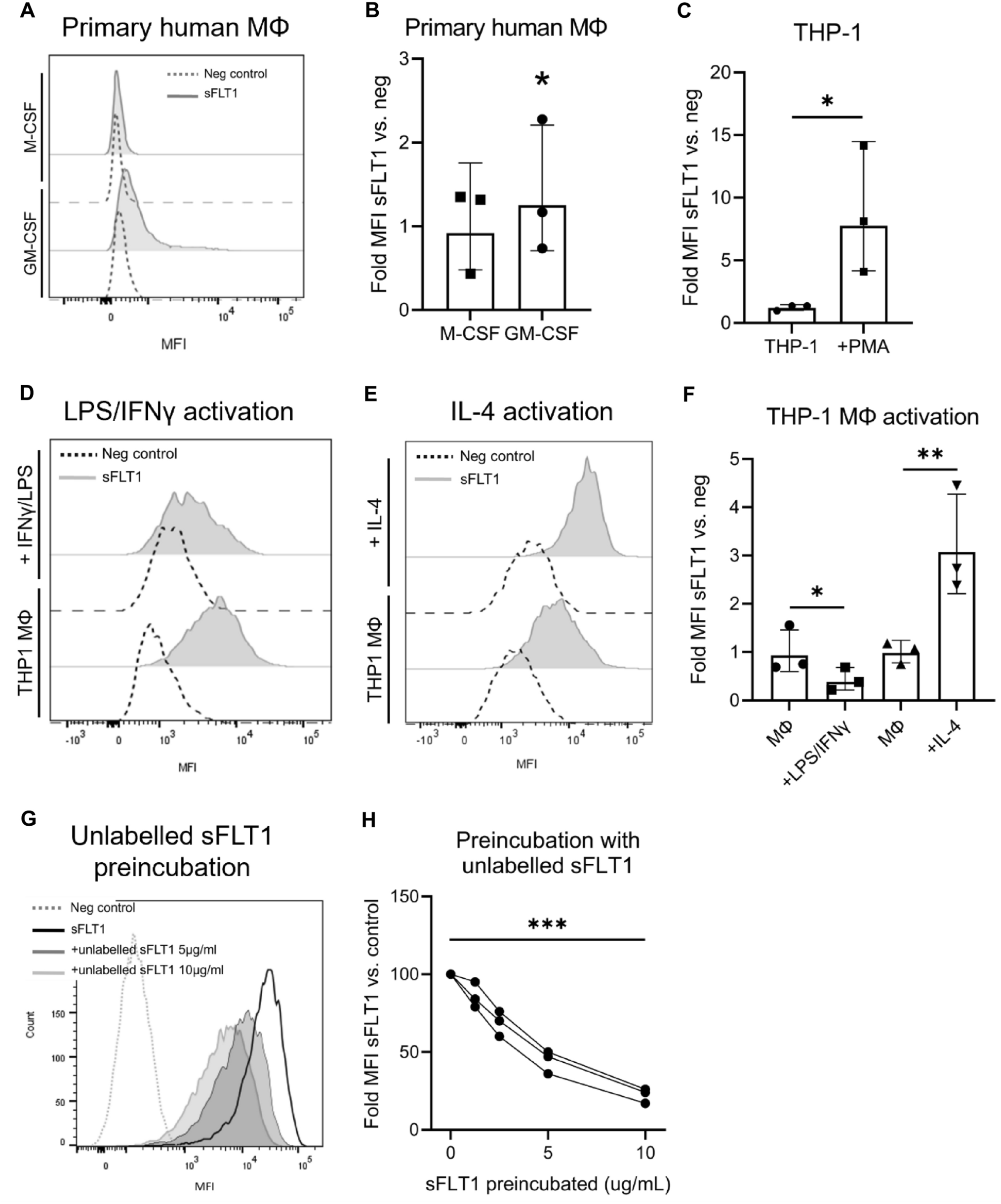 The VEGF decoy receptor soluble Fms-like tyrosine kinase 1 binds to macrophages