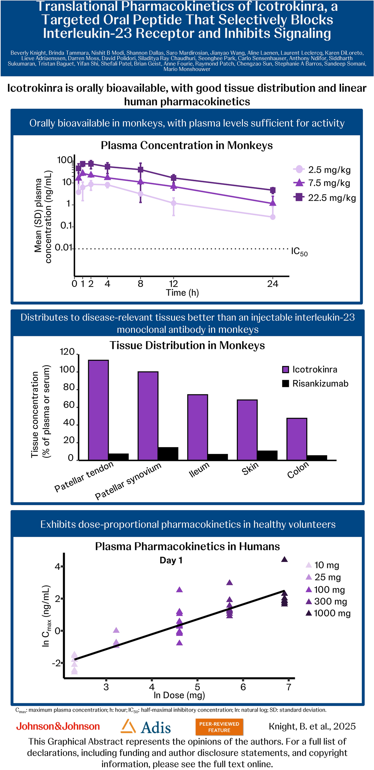 Translational Pharmacokinetics of Icotrokinra, a Targeted Oral Peptide that Selectively Blocks Interleukin-23 Receptor and Inhibits Signaling