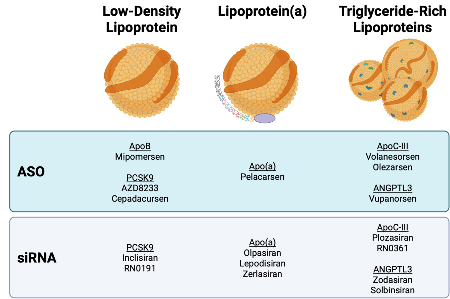 Lipid-Lowering RNA Therapeutics for Atherosclerotic Cardiovascular Disease Prevention: A State−of−the−Art Review