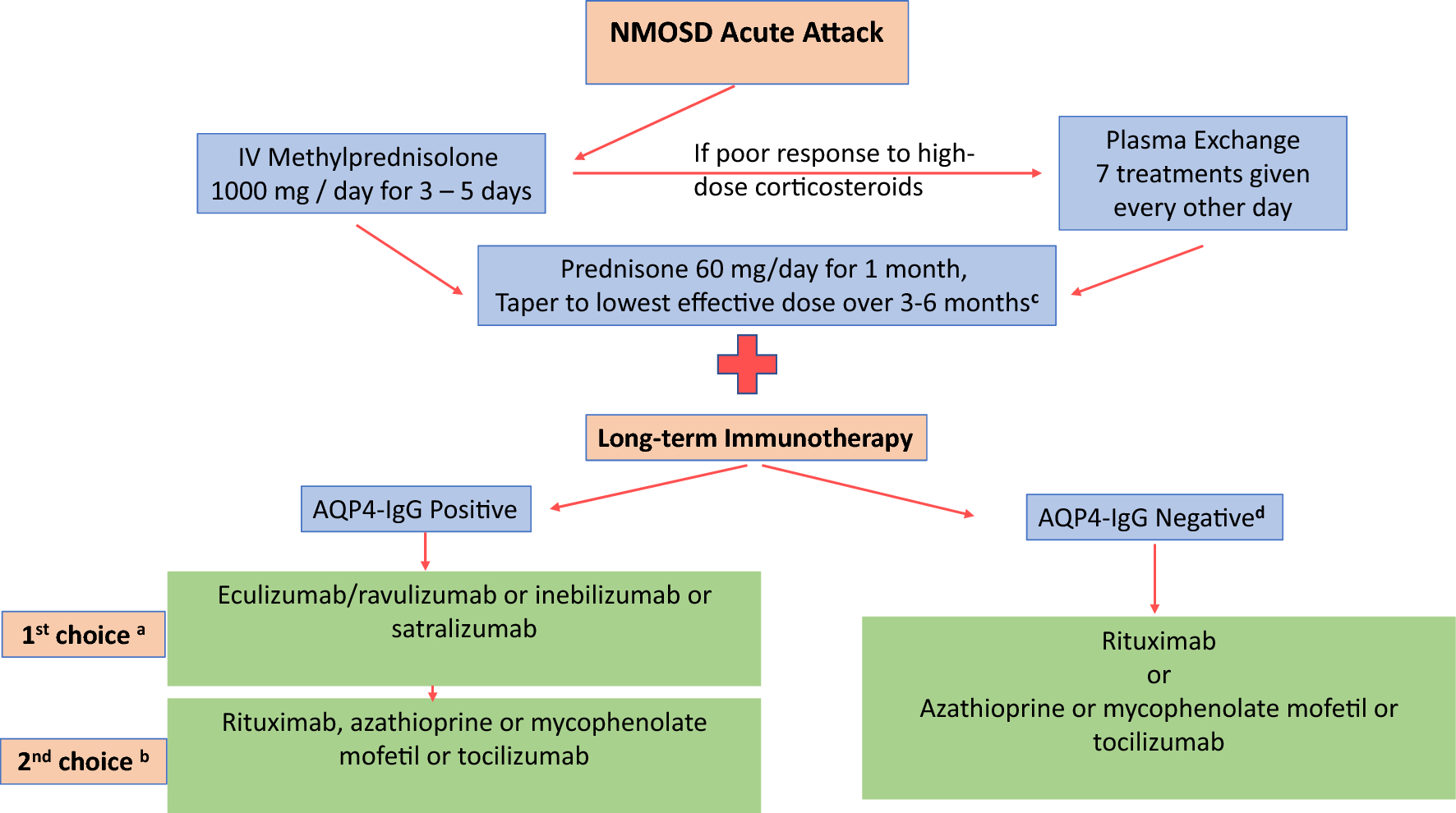 Emerging Role of Targeted Monoclonal Antibodies in Neuromyelitis Optica Spectrum Disorders