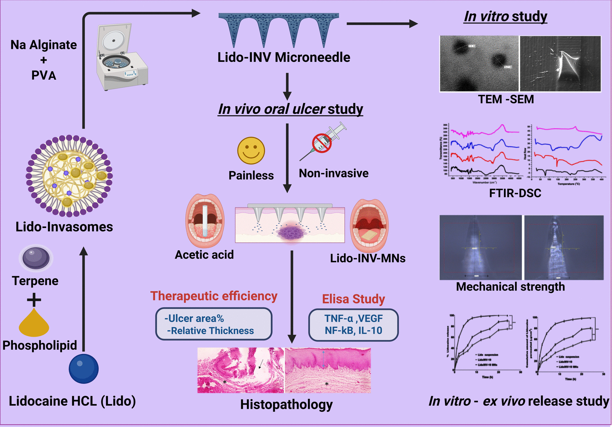 Innovate sodium alginate microneedle patches integrated with soft lidocaine invasomes: advanced strategies for oral ulcerative mucositis treatment via TNF-α/NF-κB pathways