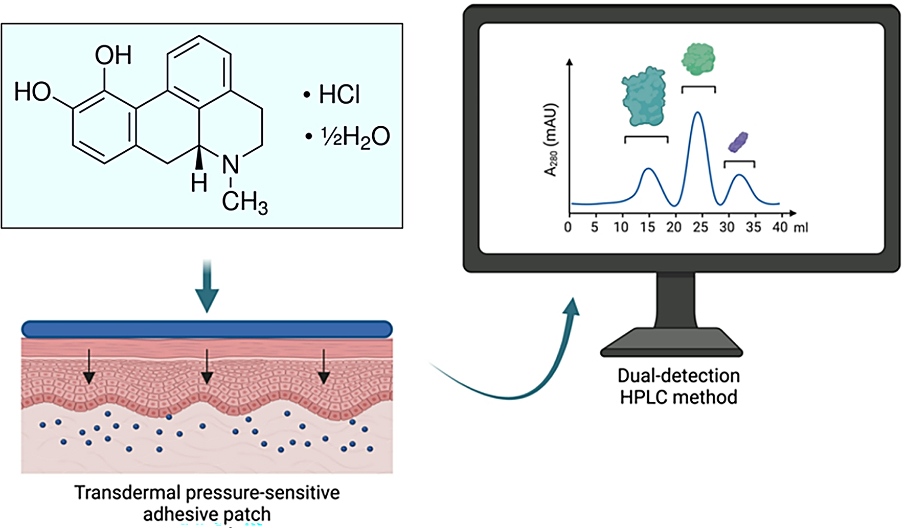 Versatile and sensitive dual-detection HPLC method for rapid quantification of apomorphine hydrochloride: application to ex vivo percutaneous permeation and deposition studies utilising novel transdermal pressure-sensitive adhesive patches
