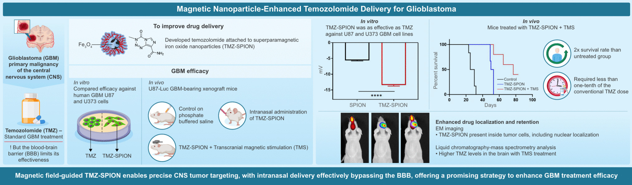 Intranasal administration of temozolomide conjugated nanoparticles with transcranial magnetic stimulation improves the survival in glioblastoma xenograft models