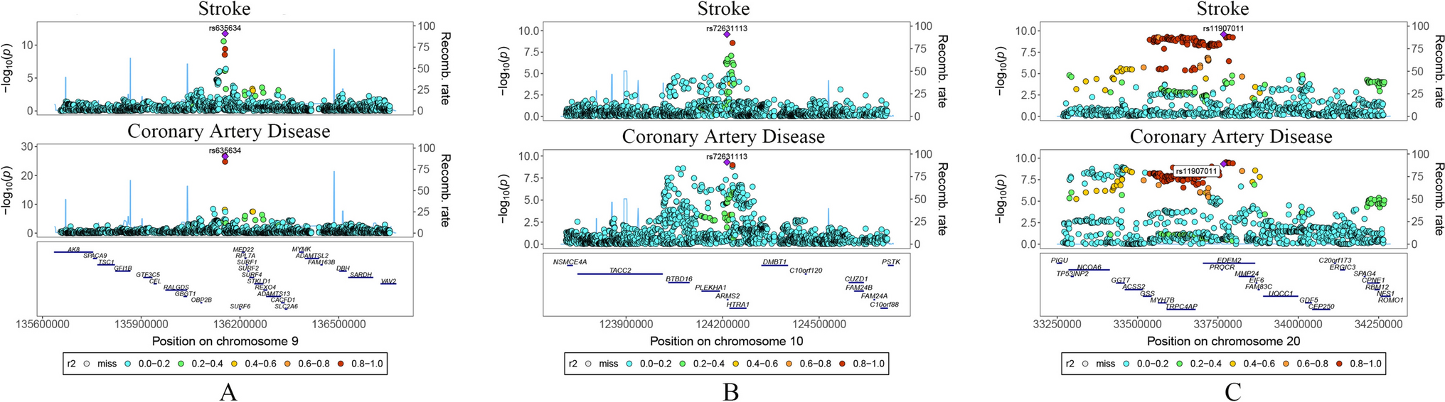 Integrative genetic analysis of shared genetic architecture of stroke and coronary artery disease: implications for pharmacist-led precision medicine
