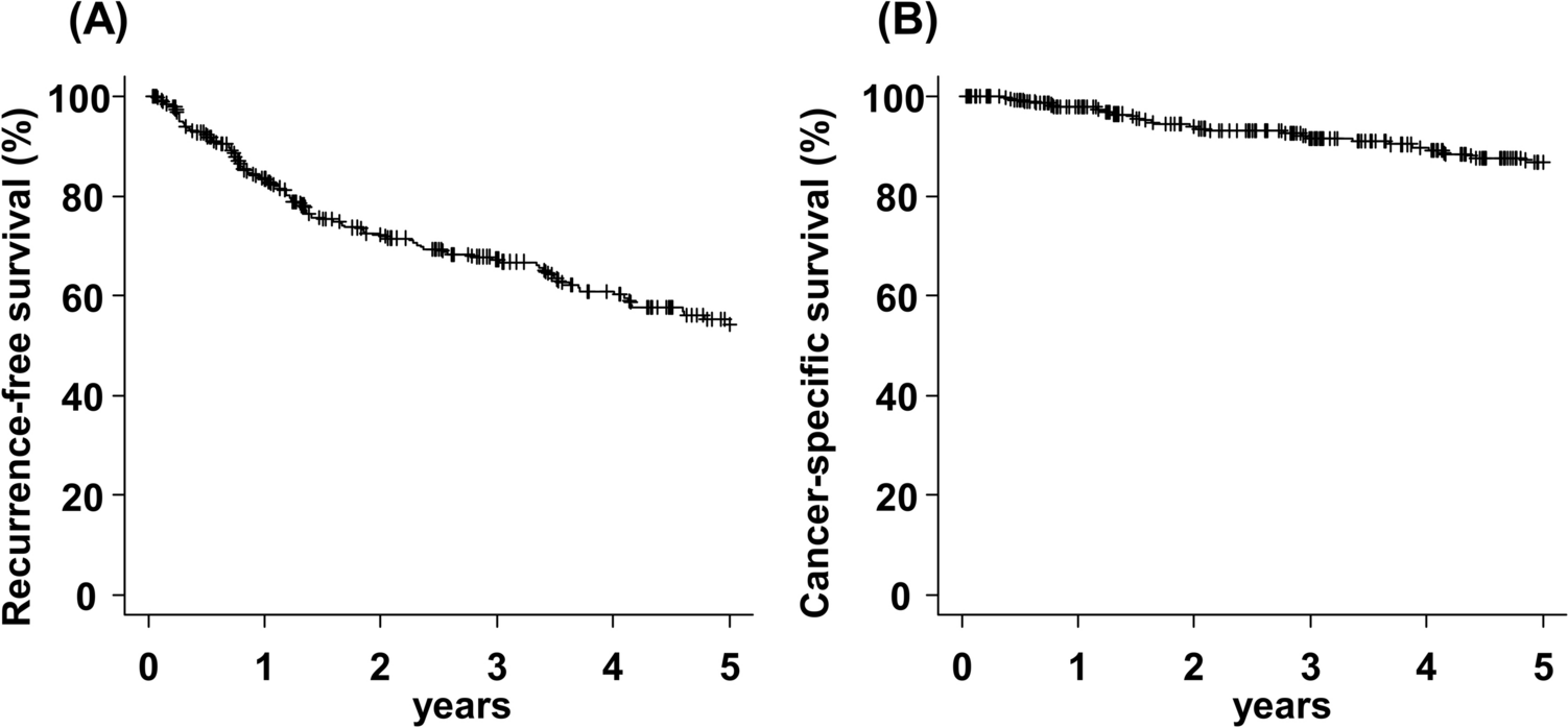 Risk stratification for recurrence after nephrectomy in high-risk renal cell carcinoma patients