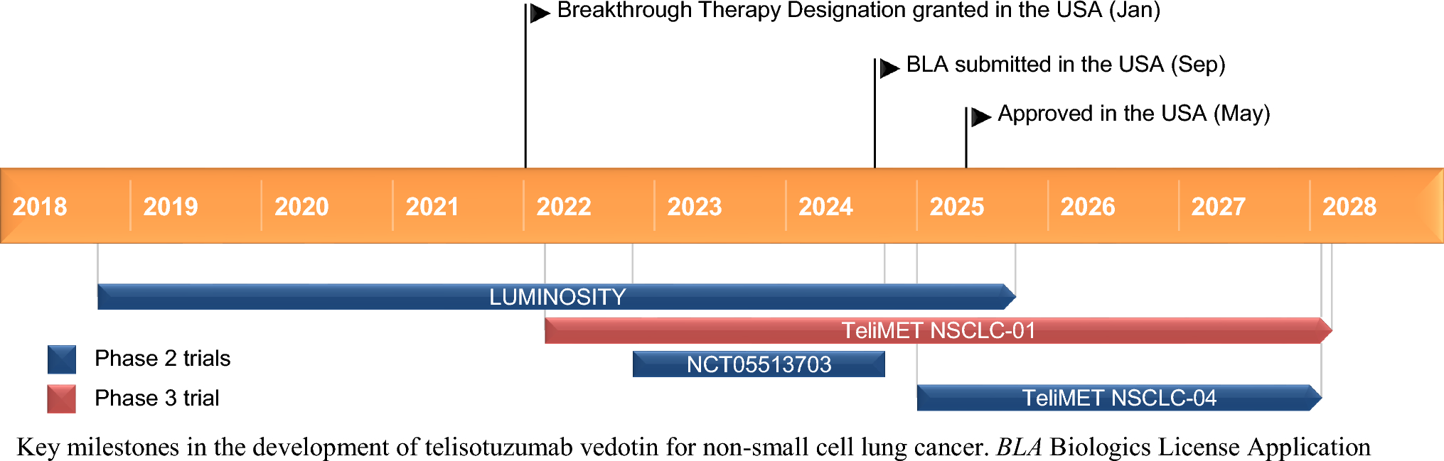 Telisotuzumab Vedotin: First Approval