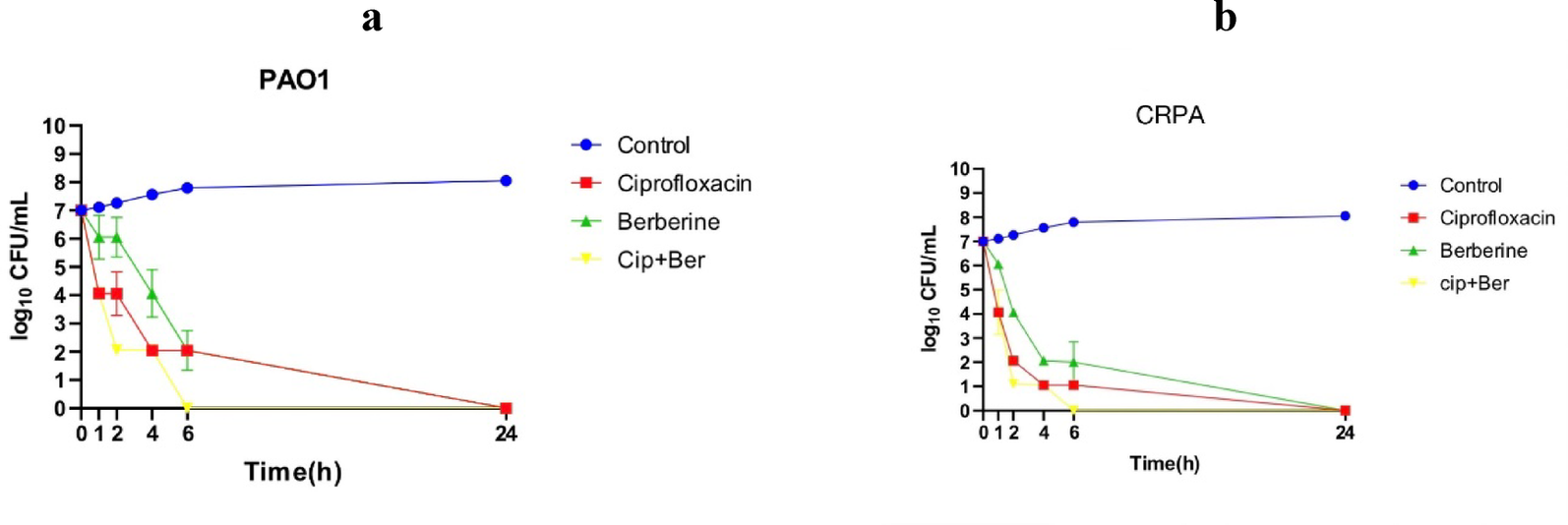 The in vitro evaluation of synergistic effects of ciprofloxacin and berberine hydrochloride against Pseudomonas aeruginosa