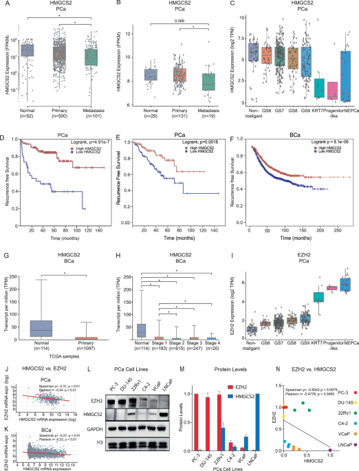 Ketone drink enhances therapeutic efficacy in prostate cancer by targeting EZH2