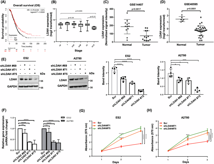 Lipid droplet-associated hydrolase (LDAH) knockdown enhances TAG hydrolysis and promotes ovarian cancer progression and chemoresistance