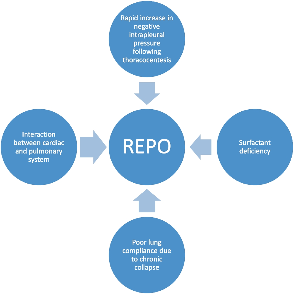 Re-expansion Pulmonary Oedema: Who, What, When and Why, A Review