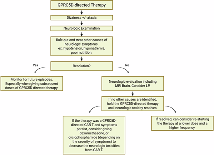 GPRC5D Bispecific antibody talquetamab-induced dizziness-ataxia syndrome, clinical presentation and management- a case series