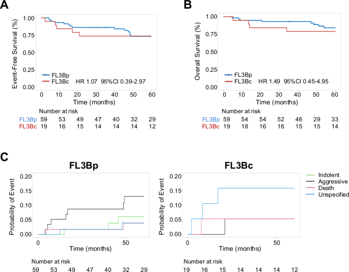 Subsets of follicular lymphoma 3B have divergent outcomes: results from the prospective multicenter MER and LEO cohorts