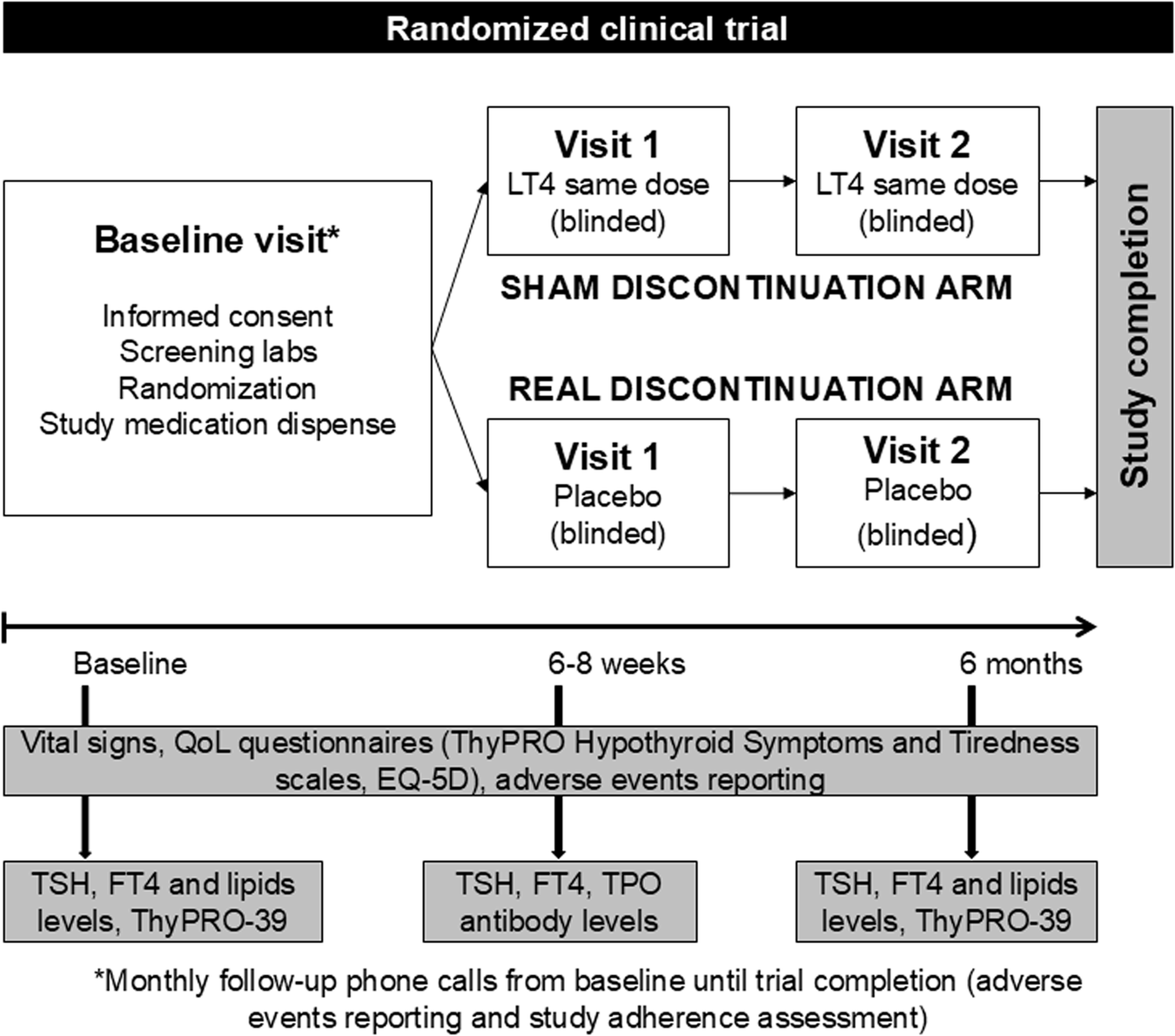 Discontinuation of levothyroxine therapy in patients with subclinical hypothyroidism: a pilot randomized clinical trial