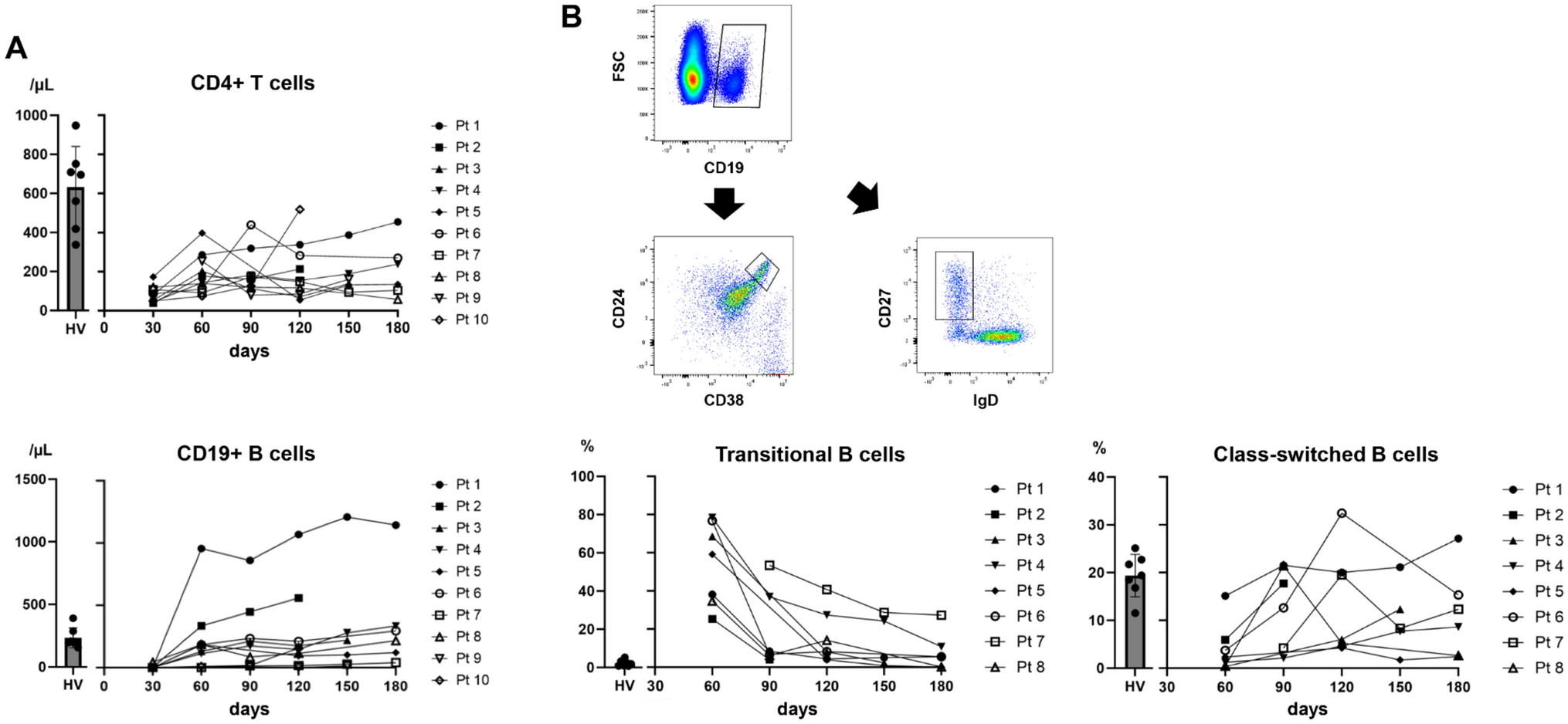 Humoral immunity after hematopoietic stem cell transplantation: evaluation by B-cell receptor repertoire analysis