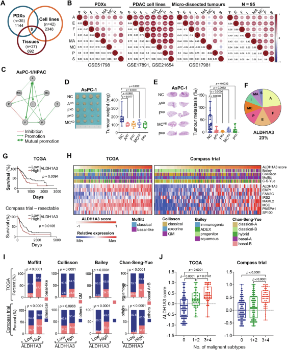ALDH1A3 promotes aggressive basal-like pancreatic cancer through an AP-1/RUNX2 enhancer network