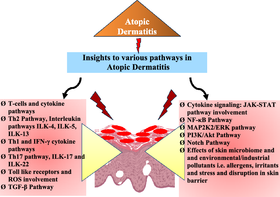 Unlocking the molecular pathway of atopic dermatitis: journey so far and roads ahead