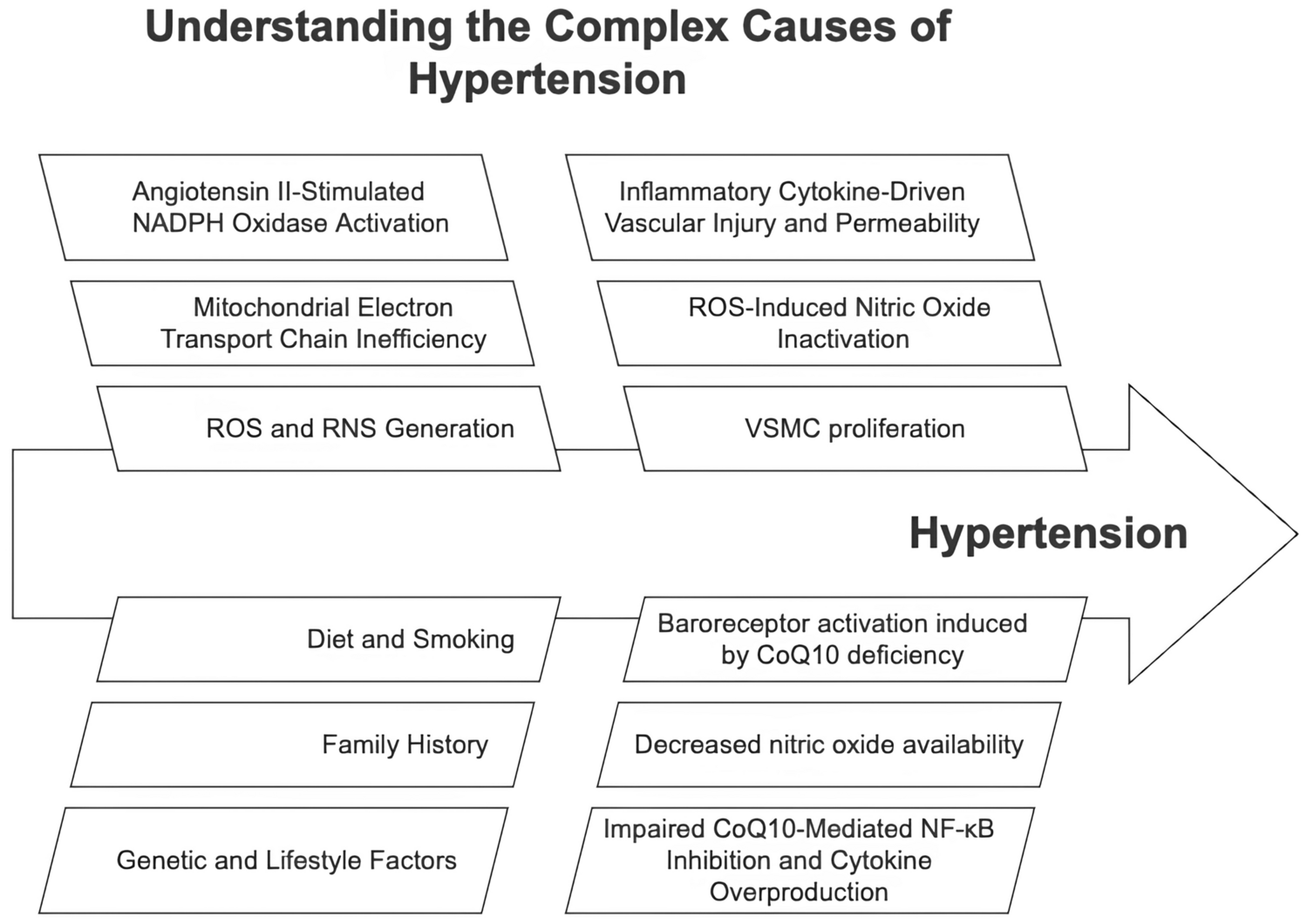 The protective effects of coenzyme Q10 on blood pressure: a narrative review of anti-inflammatory and antioxidant mechanisms