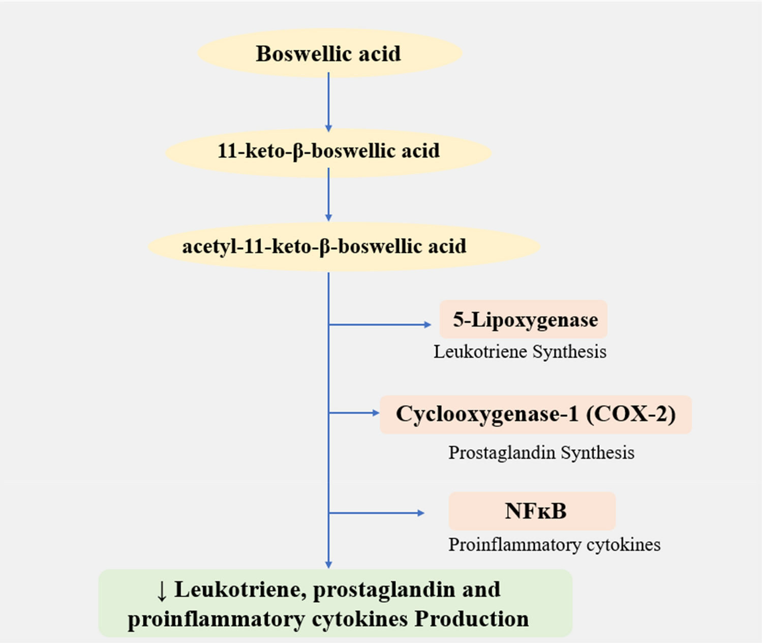 Therapeutic potential of  in arthritis management: mechanistic insights into COX-2, 5-LOX, and NFĸB modulation