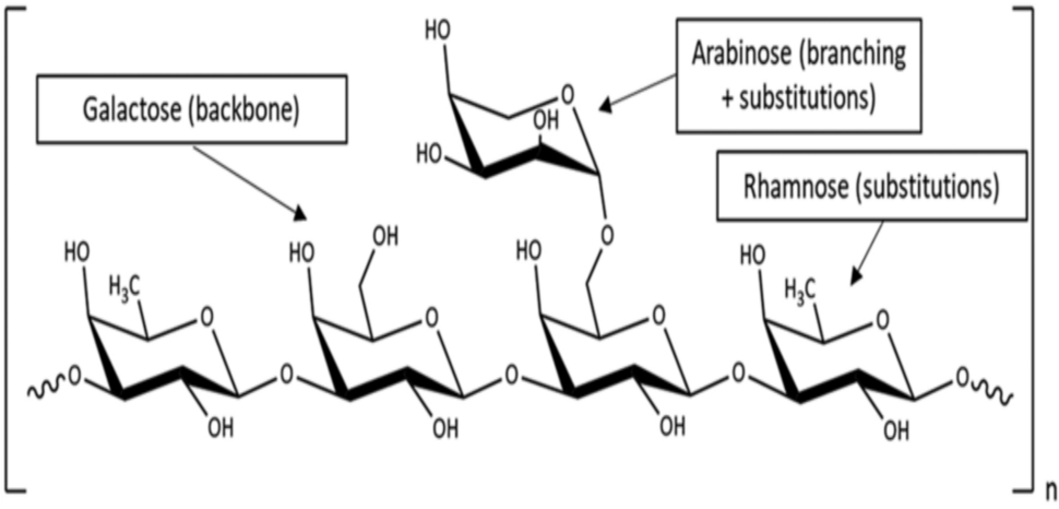 Mitigation of inflammation and oxidative stress in FCA-induced arthritic rat model through gum acacia intervention: a comprehensive in‑vivo study