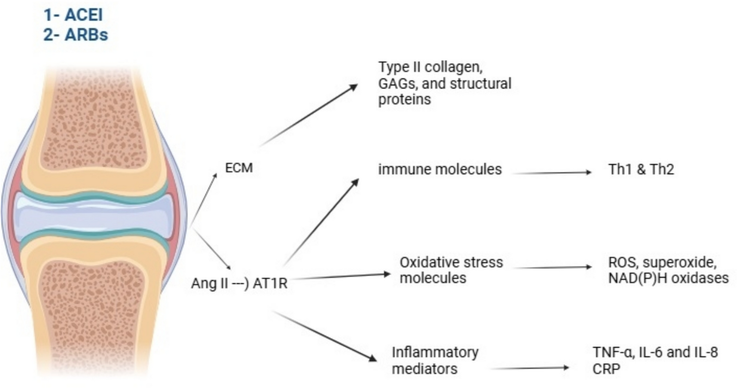 The renin–angiotensin system (RAS) and arthritic diseases: therapeutic potential for RAS inhibitors