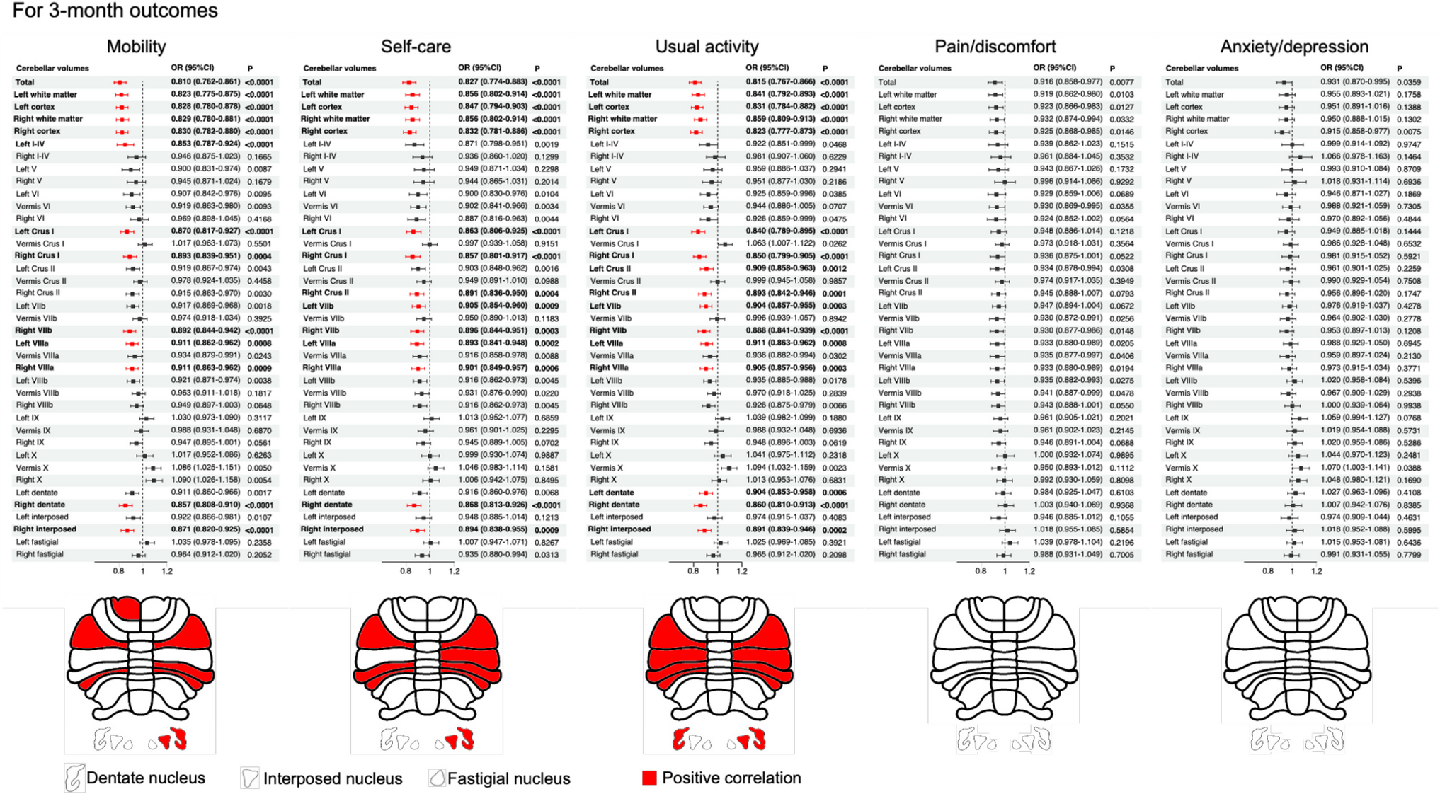 Exploring the Association Between Cerebellar Regional Volumes and Health-Related Quality of Life in Patients with Ischemic Stroke: A Prospective Cohort Study
